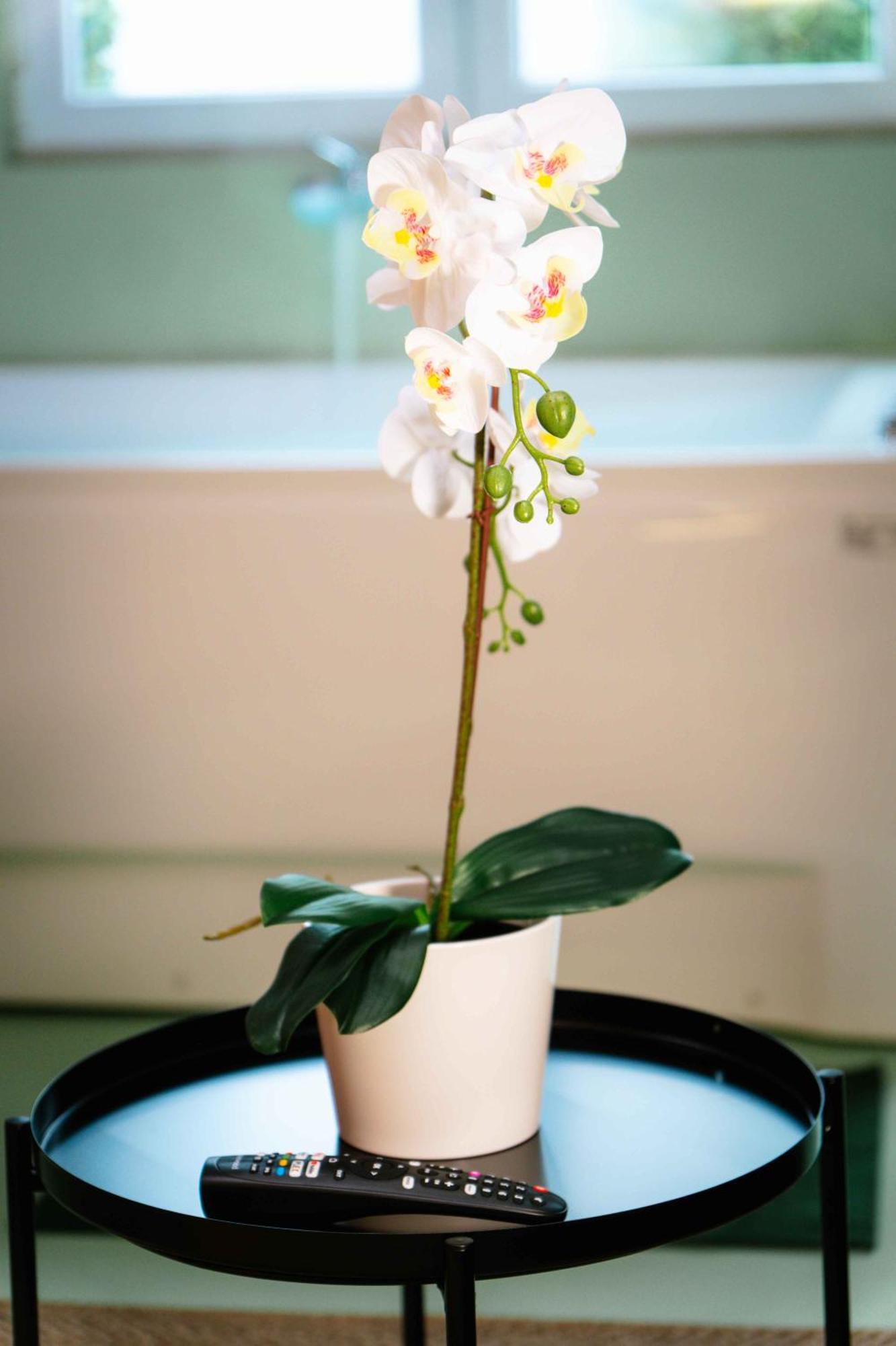 Capsule Flower - Balneo - Cinema - Billard - Nintendo Switch - Mons Centre Eksteriør billede